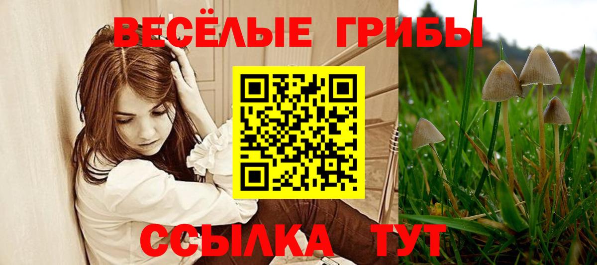 Галлюциногенные грибы Cubensis Новый Уренгой