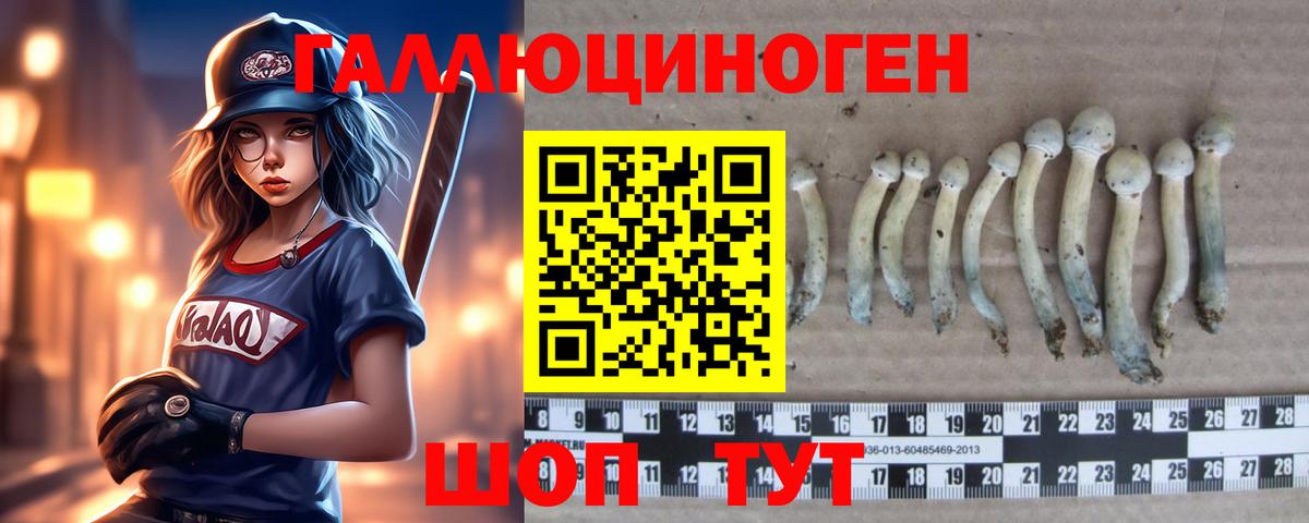 Новый Уренгой  Галлюциногенные грибы Cubensis  Вход с VPN 